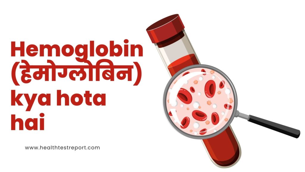 Hemoglobin (Hb): खून में ऑक्सीजन पहुंचाने वाला हीरो – पूरी जानकारी हिंदी में