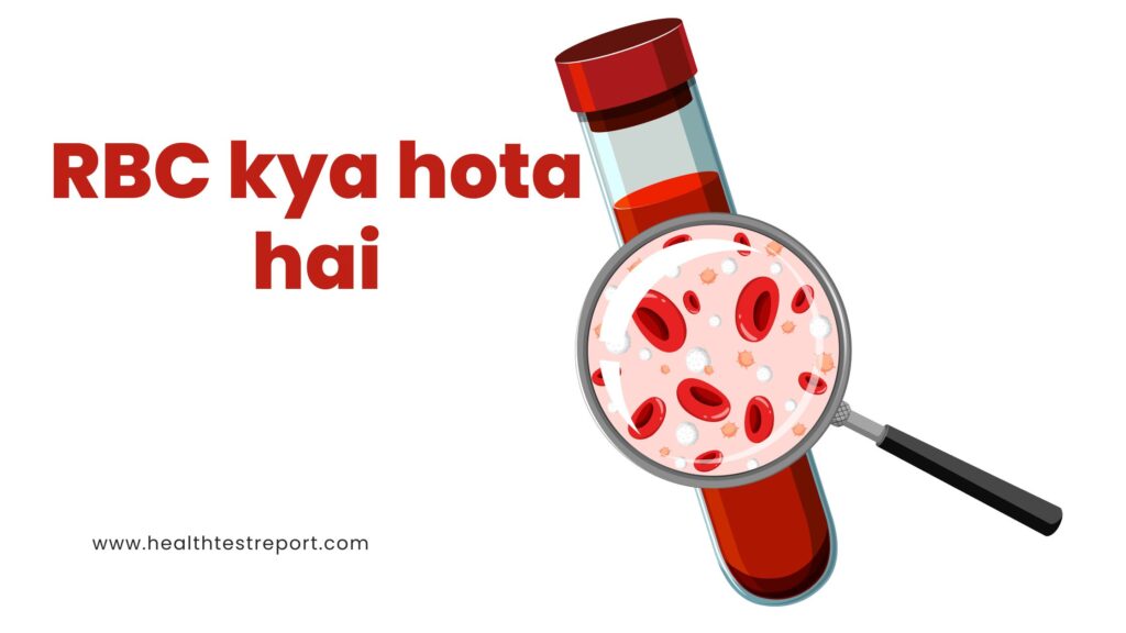 RBC (लाल रक्त कणिकाएं): शरीर का ऑक्सीजन कैरियर – पूरी जानकारी हिंदी में