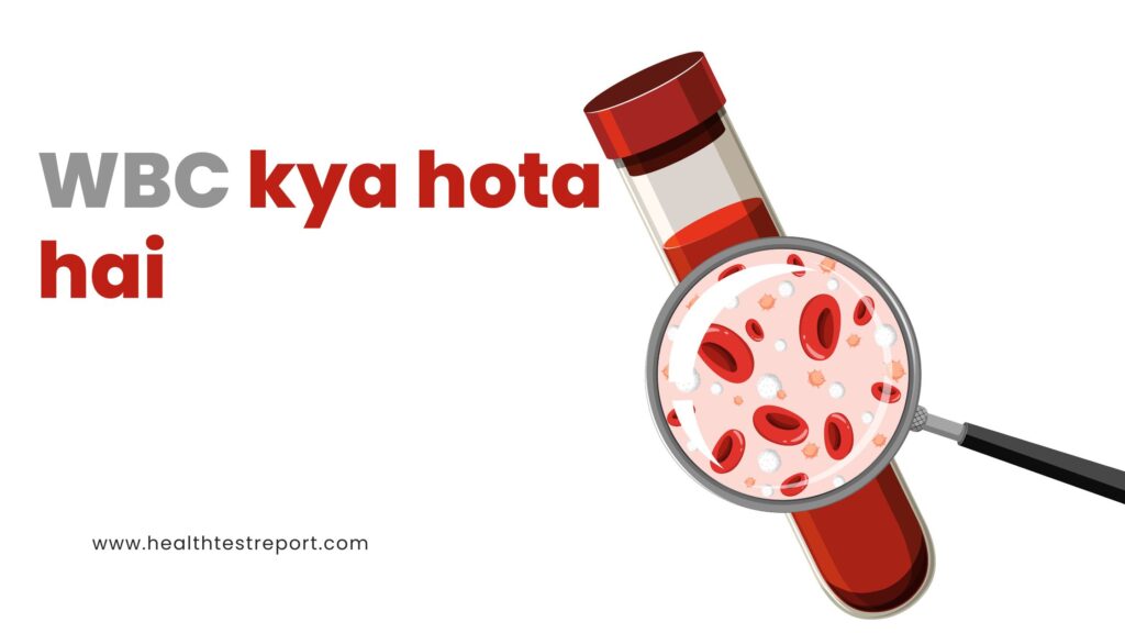 WBC – शरीर का सुरक्षा गार्ड! जानिए कैसे करता है बीमारियों से रक्षा